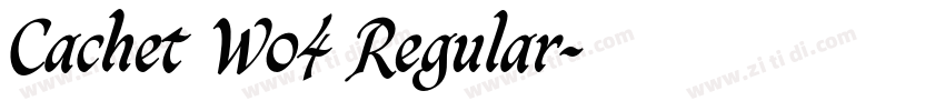 Cachet W04 Regular字体转换